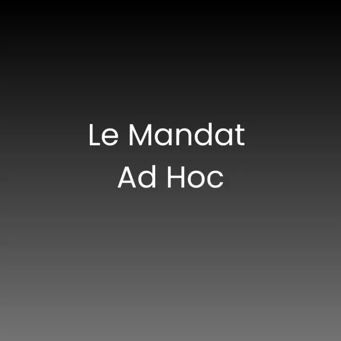 mandat ad hoc