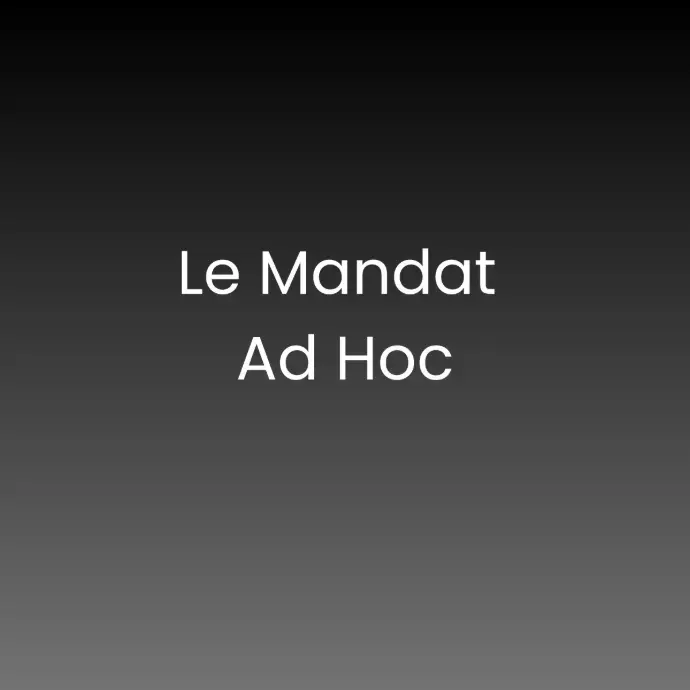 mandat ad hoc